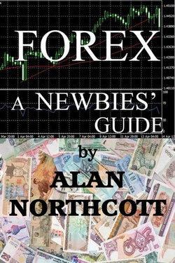 Forex A Newbies' Guide