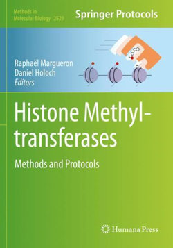 Histone Methyltransferases