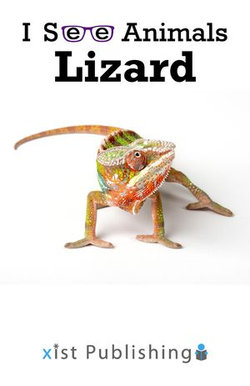 Lizard