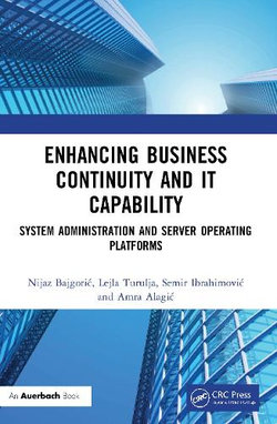 Enhancing Business Continuity and IT Capability