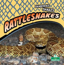 Rattlesnakes