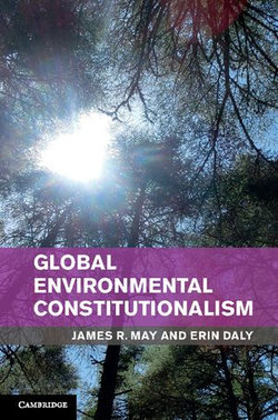 Global Environmental Constitutionalism