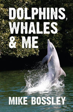 Dolphins, Whales & Me