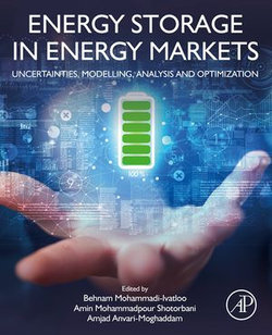 Energy Storage in Energy Markets