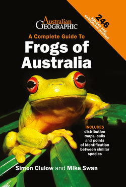 A Complete Guide to Frogs of Australia 