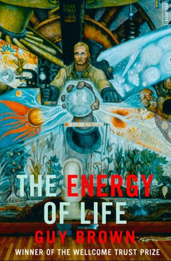 The Energy of Life: (Text Only)