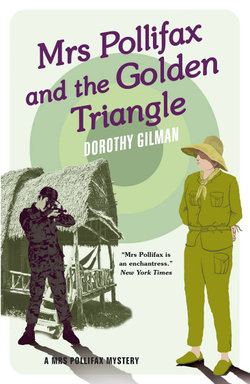 Mrs Pollifax and the Golden Triangle