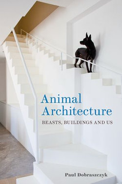 Animal Architecture