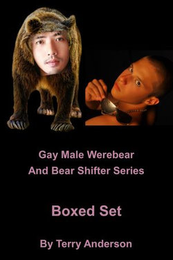 Gay Male Werebear And Bear Shifter Series Boxed Set