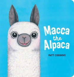 Macca the Alpaca 