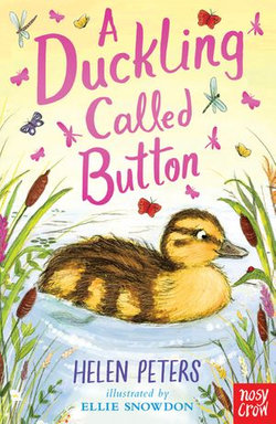 A Duckling Called Button