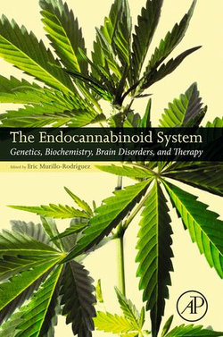 The Endocannabinoid System