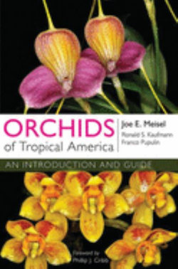 Orchids of Tropical America