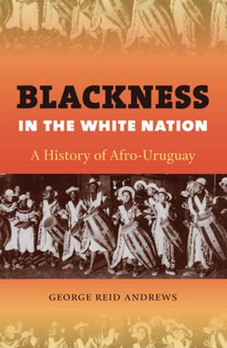 Blackness in the White Nation