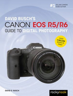 David Busch's Canon EOS R5/R6 Guide to Digital Photography