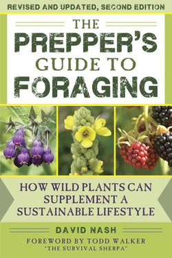 The Prepper's Guide to Foraging