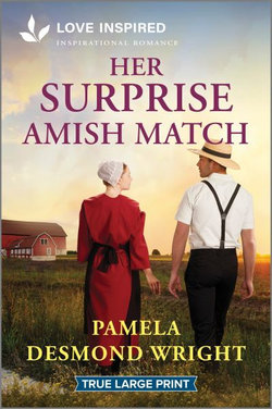 Her Surprise Amish Match