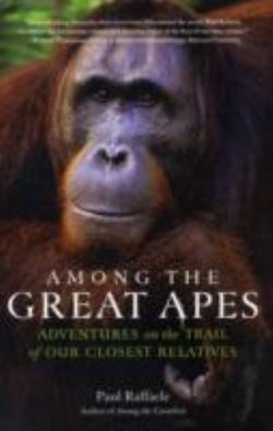 Among the Great Apes