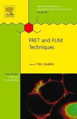 FRET and FLIM Techniques: Volume 33