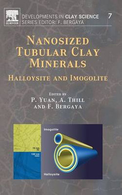 Nanosized Tubular Clay Minerals: Volume 7