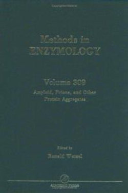 Amyloid, Prions, and Other Protein Aggregates