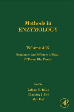 Regulators and Effectors of Small GTPases: Rho Family: Volume 406