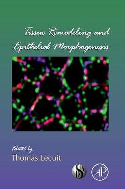 Tissue Remodeling and Epithelial Morphogenesis: Volume 89