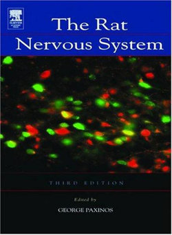 The Rat Nervous System