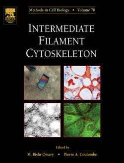 Intermediate Filament Cytoskeleton: Volume 78