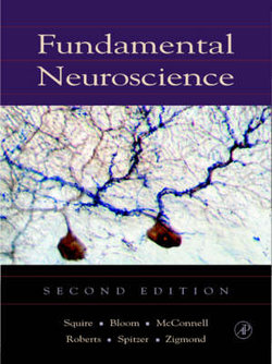 Fundamental Neuroscience