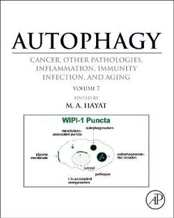 Autophagy: Cancer, Other Pathologies, Inflammation, Immunity, Infection, and Aging