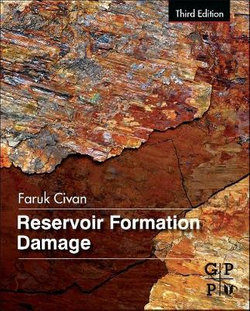 Reservoir Formation Damage 3E