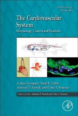 The Cardiovascular System