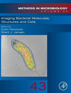 Imaging Bacterial Molecules, Structures and Cells