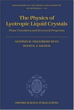 The Physics of Lyotropic Liquid Crystals