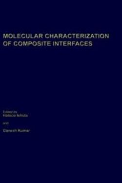 Molecular Characterization of Composite Interfaces