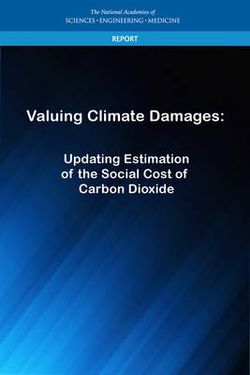 Valuing Climate Damages