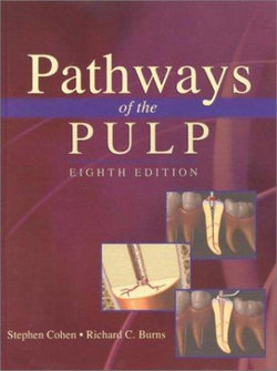 Pathways of the Pulp