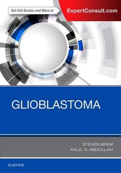 Treatment of Glioblastoma: Molecular and genetic origins, standards of care, and innovation