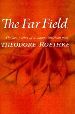 The Far Field