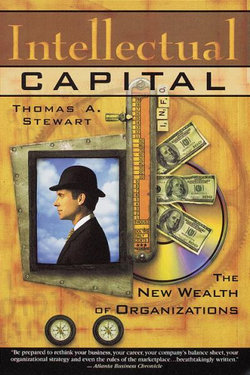 Intellectual Capital: the New Wealth of Organizations