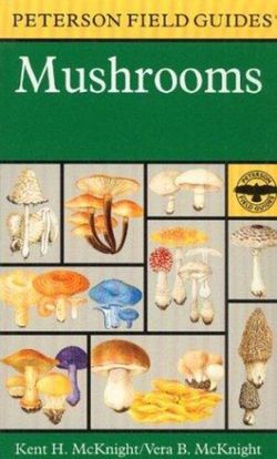 Field Guide to Mushrooms