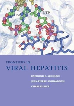 Frontiers in Viral Hepatitis