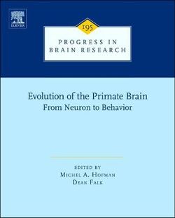 Evolution of the Primate Brain: Volume 195