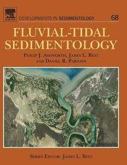 Fluvial-Tidal Sedimentology