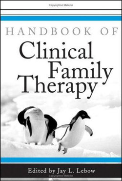 Handbook of Clinical Family Therapy