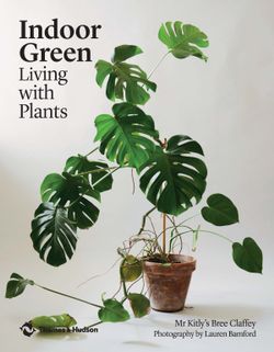 Indoor Green Living With Plants