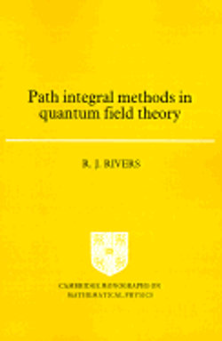 Path Integral Methods in Quantum Field Theory