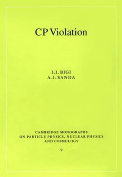 CP Violation