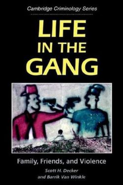 Life in the Gang